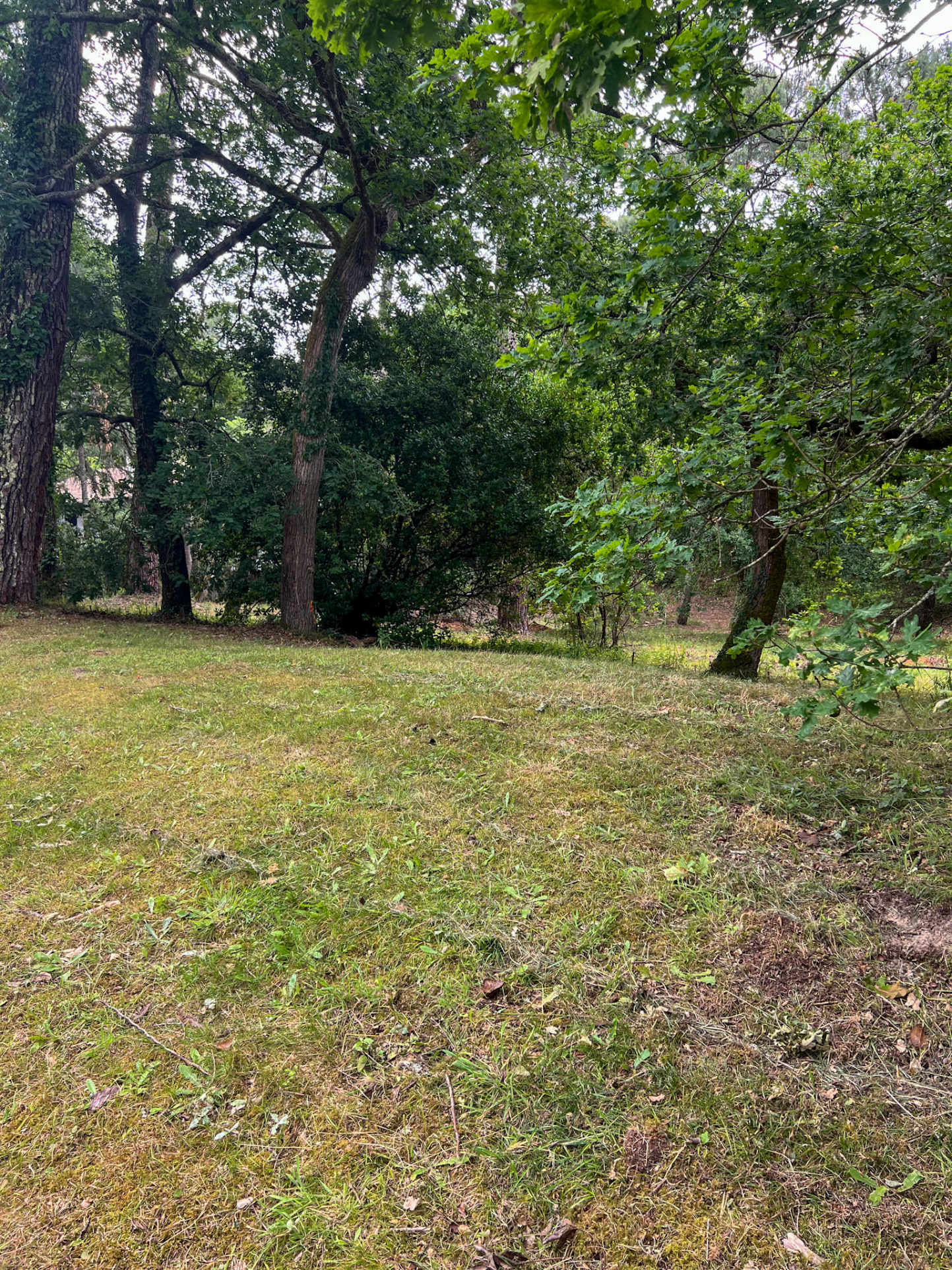 Agence immobilière de La Suite Immobilier