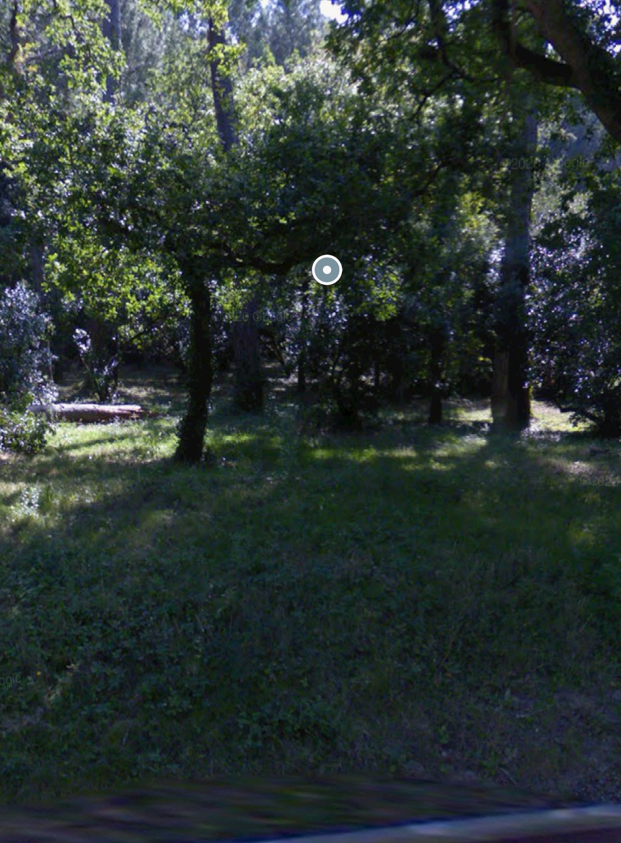 Agence immobilière de La Suite Immobilier